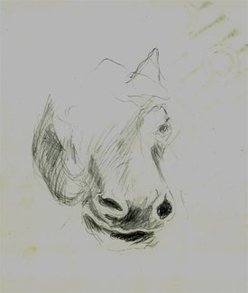 horse77.jpg