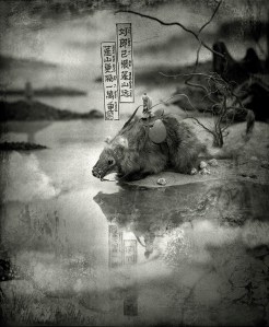 Second-hand Tang Poem, 