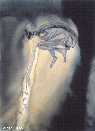 fakir_viii fakir_viii