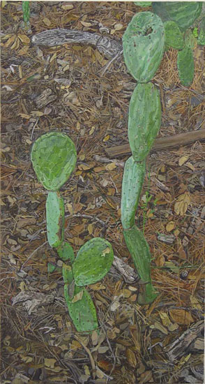 Two Plants