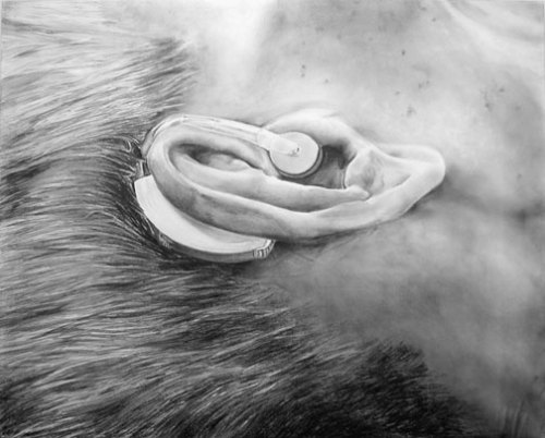 Brent Steen Couplet, 2007 pencil on gessoed panel, 24 x 30 inches