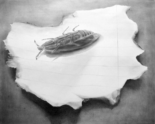 Brent Steen Brittle Pages, 2007 pencil on gessoed panel