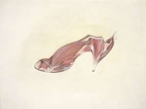 Muscle Shoe, 1976
 


Pencil, coloured pencil on handmade paper
 
Unframed: 31 x 44 cm / 12 1/4 x 17 3/8 ins