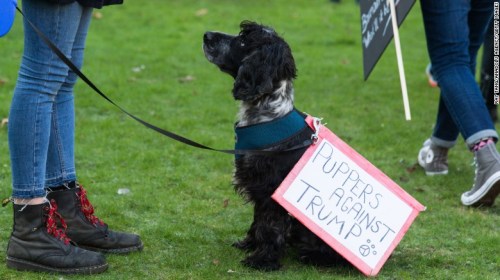 170121160541-02-womens-march-london-restricted-exlarge-169