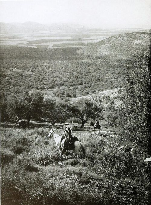 Dotan_1910