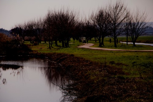 IMG_8013מעו