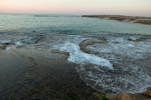 _MG_8313חופפ