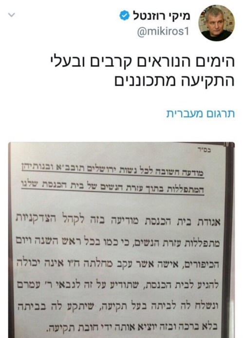 מיקי הזבל
